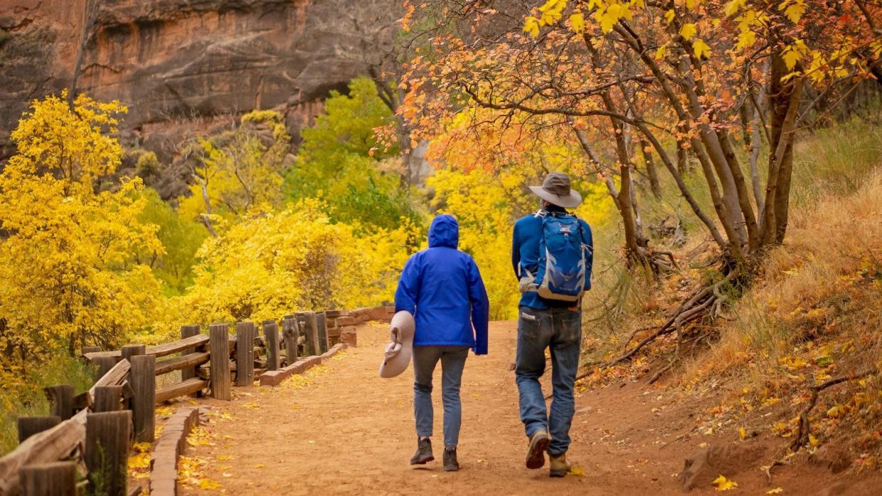 The Riverside Walk trail in Zion National Park surrounds hikers in fall colors during the autumn months.