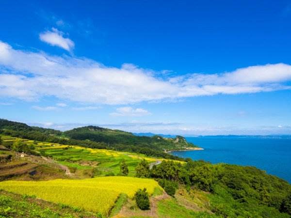 豐島環境照。圖片來源：うどん県旅ネット