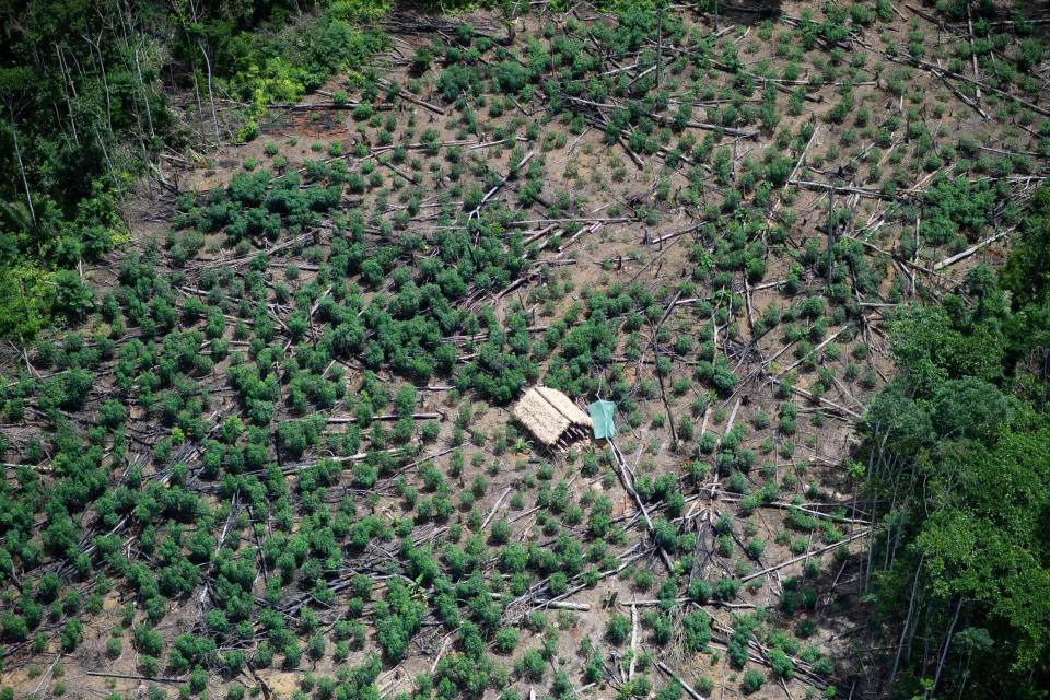 An area of deforested Amazon rainforest (Getty Images)