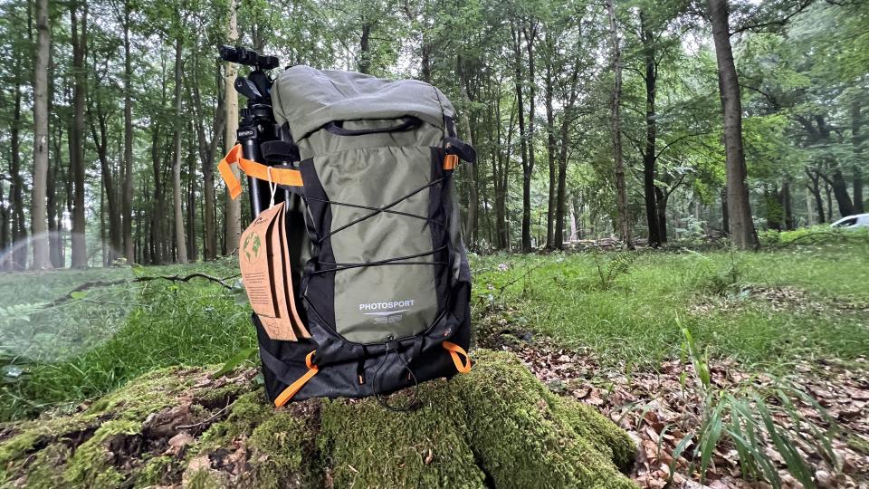 Lowepro PhotoSport X backpack in the woods