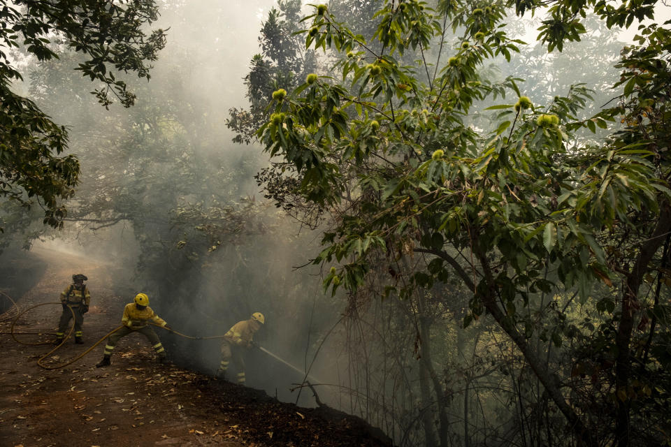 Emergency crews and firefighters are working to extinguish the fire advancing through the forest in La Orotava in Tenerife, Canary Islands, Spain on Saturday, Aug. 19, 2023. Firefighters have battled through the night to try to bring under control the worst wildfire in decades on the Spanish Canary Island of Tenerife, a major tourist destination. The fire in the north of the island started Tuesday night and has forced the evacuation or confinement of nearly 8,000 people. Regional officials say Friday's efforts will be crucial in containing the fire. (AP Photo/Arturo Rodriguez)