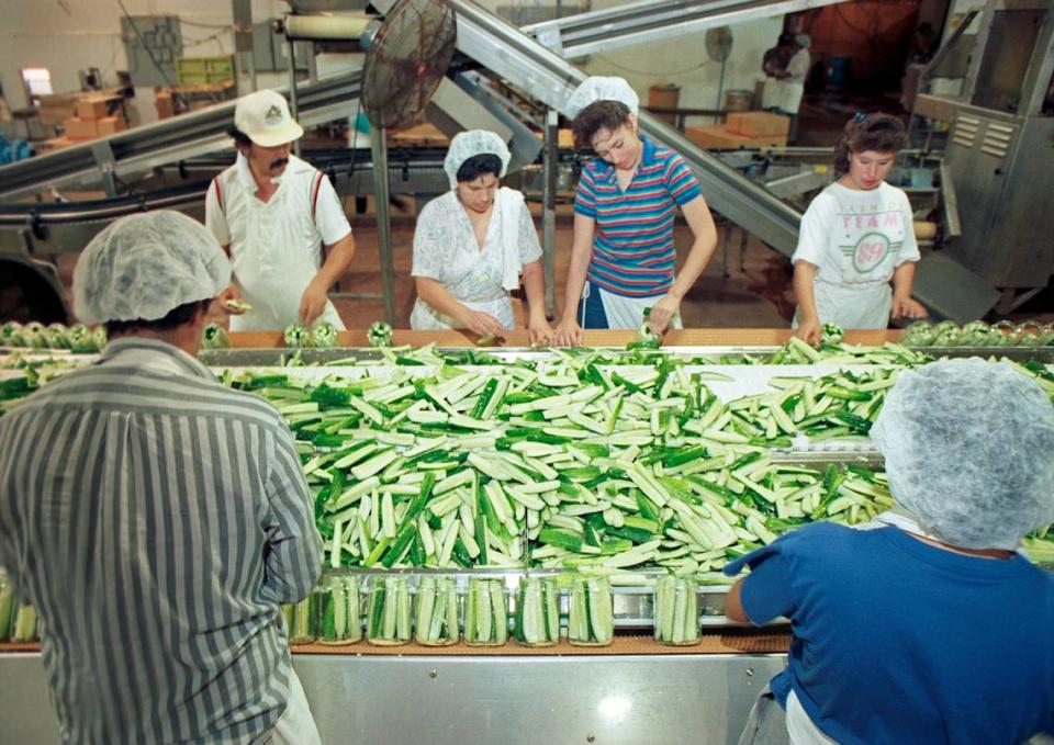 Workers on an assembly line pack jars with pickles at the Best Maid factory. [FWST photographer Norm Tindell]
