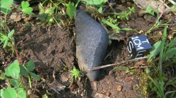 A close-up of the Sutter’s Mill meteorite, a fragment from a daytime fireball that exploded over parts of California and Nevada on April 22, 2012. This fragment was discovered in a horse pasture outside Lotus, Calif.