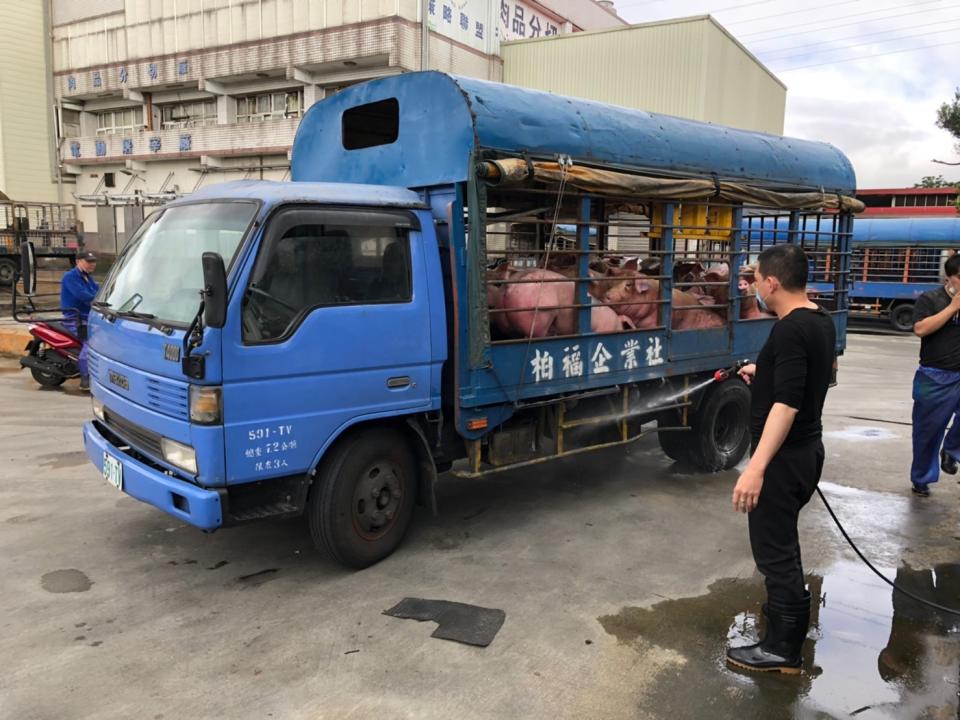 運豬車司機依規定須完成車輛清潔消毒工作路。   圖：新北市動保處提供