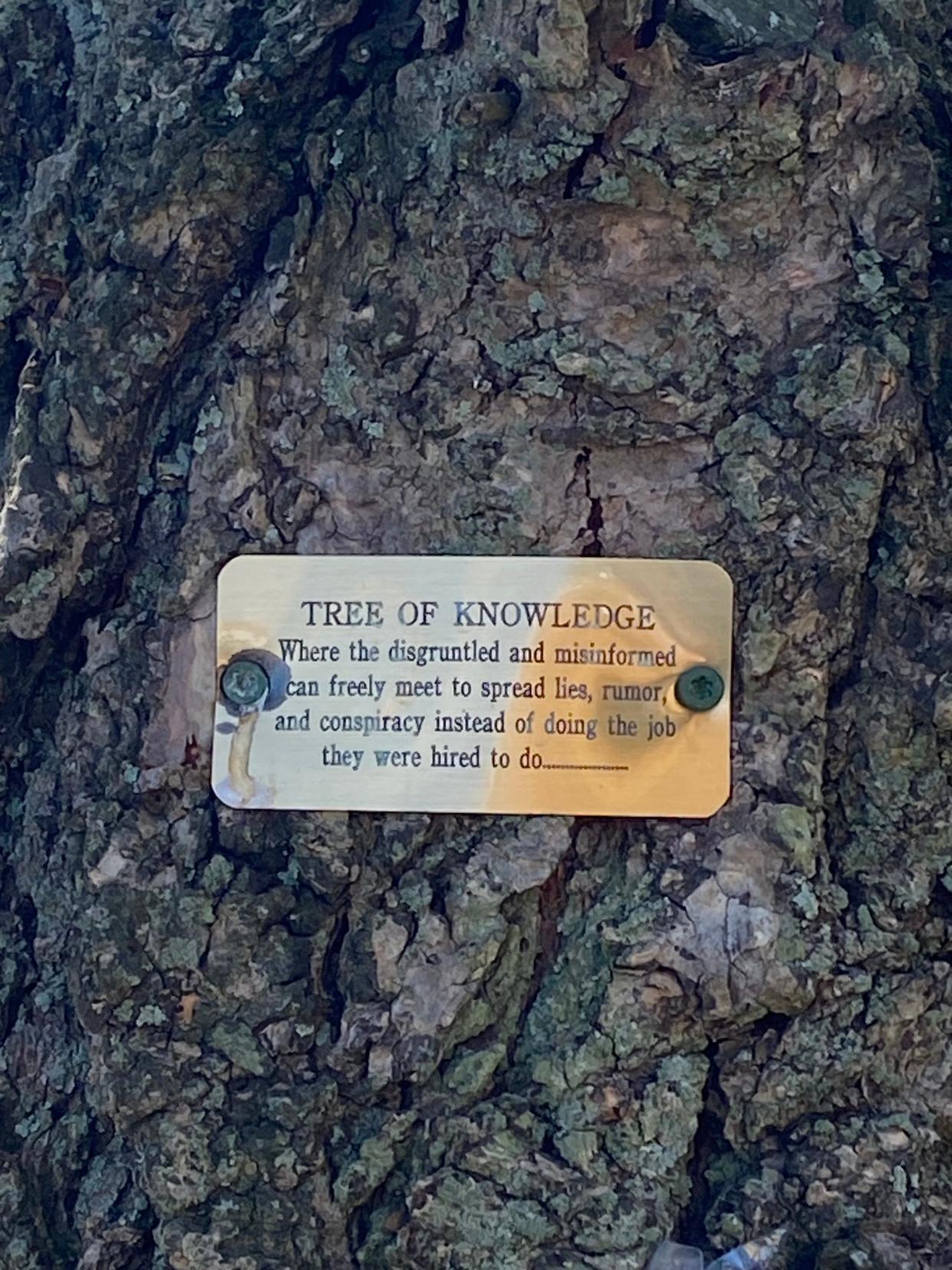 In August 2023, someone affixed a sign to the "Tree of Knowledge," located in the parking lot of the Asbury Park Police Department headquarters. The tree has been a location where African American police officers have met to discuss police and personal matters. The sign mocks the gathering spot as a place where "the disgruntled and misinformed can freely meet to spread lies, rumor and conspiracy."