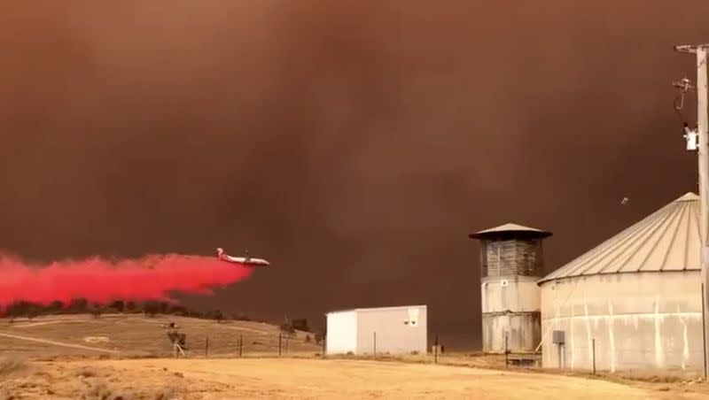 A plane releases fire retardant on a field during bushfires near Queanbeyan, New South Wales