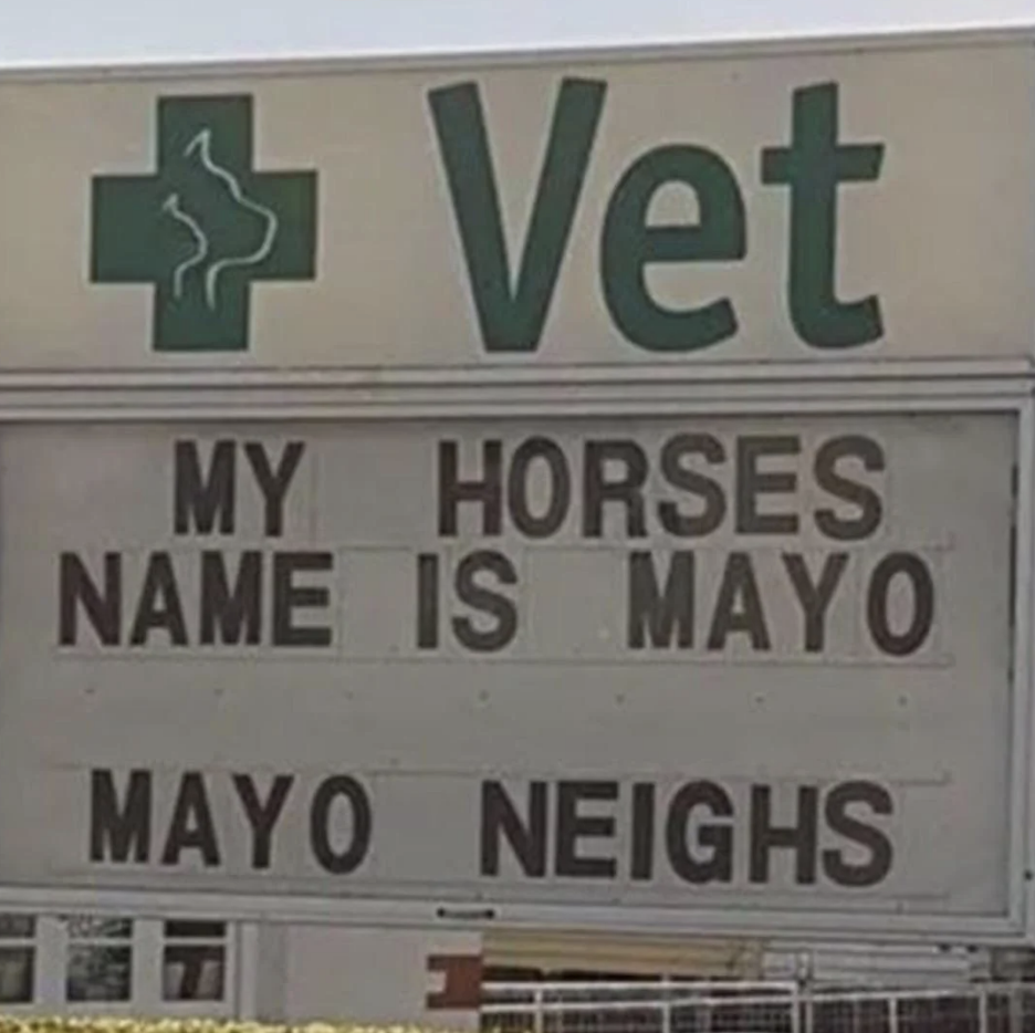 A vet office sign reads: "MY HORSES NAME IS MAYO…" on the top line, and "MAYO NEIGHS" on the bottom line