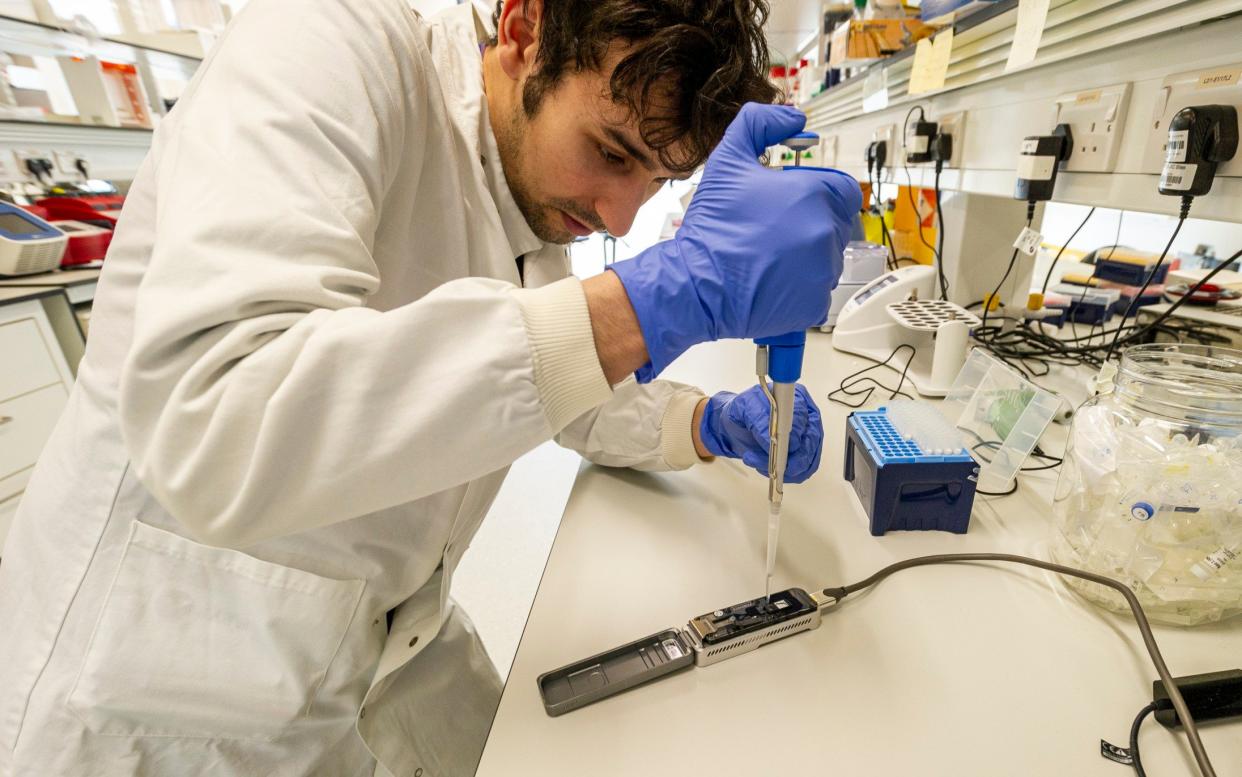 A scientist at the Quadram Institute in Norwich using sequencing machines to study genomes of the coronavirus - Jason Bye