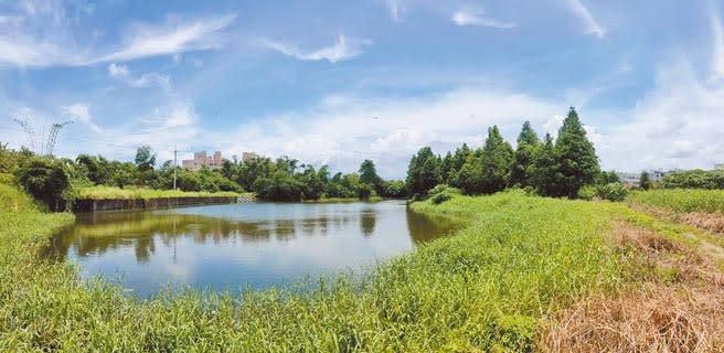 位於斗六市龍潭里的「後庄埤」原是農田灌溉埤塘，在斗六市芭蕉溪下游，是個牛軛湖狀的水塘，明年底將變身成為兼具防洪、灌溉、休憩的水環境。（周麗蘭攝）