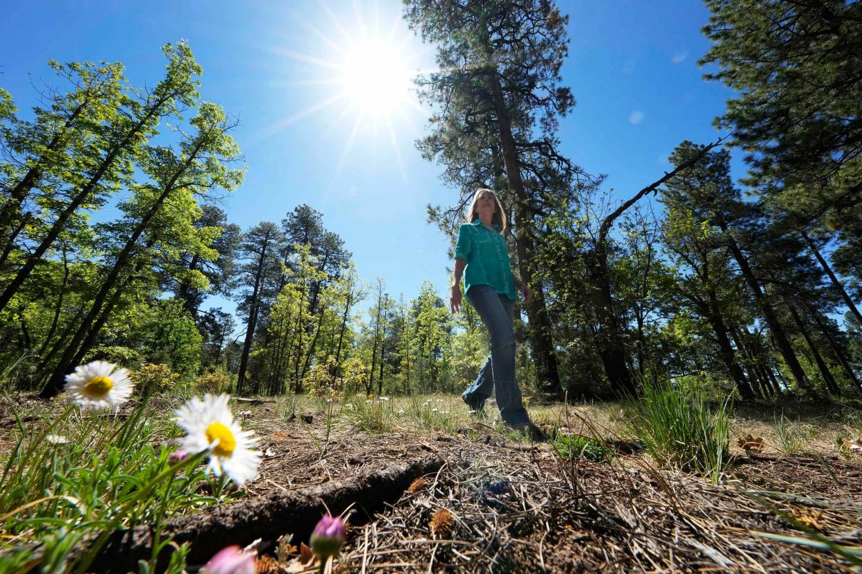 May 18, 2022; Pinetop-Lakeside, Arizona, USA; Mayor Stephanie Irwin walks through a newly treated forest area at Woodland Lake Park in Pinetop-Lakeside. Mandatory Credit: Rob Schumacher-Arizona Republic