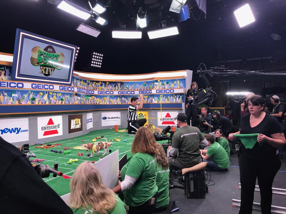 <p>Has Schachner ever been recognized on the street as the Puppy Bowl referee? “Only when I’m in my stripes. Or blowing a whistle. Which is every day,” he says.<br>(Photo: Leah Neuberth/Yahoo Entertainment) </p>