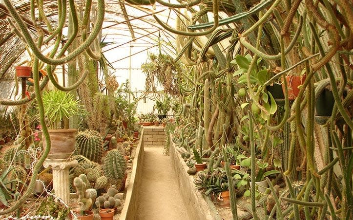 The Cactarium at Moortens - Moorten Botanical Garden