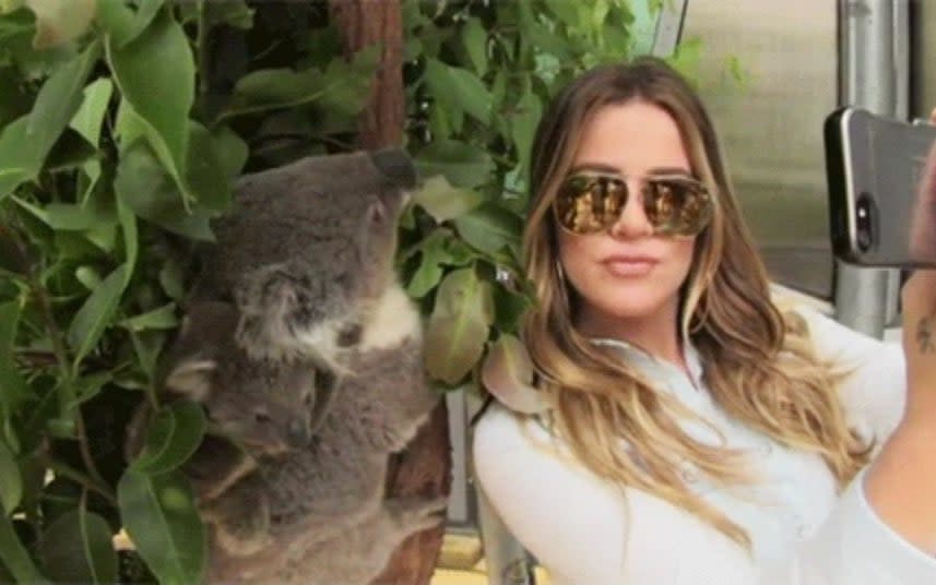 A woman taking a picture next to a koala bear