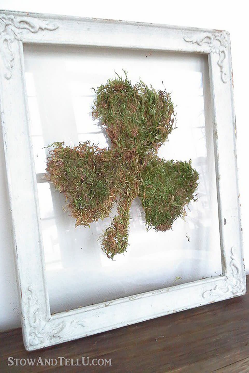 Framed Moss Shamrock