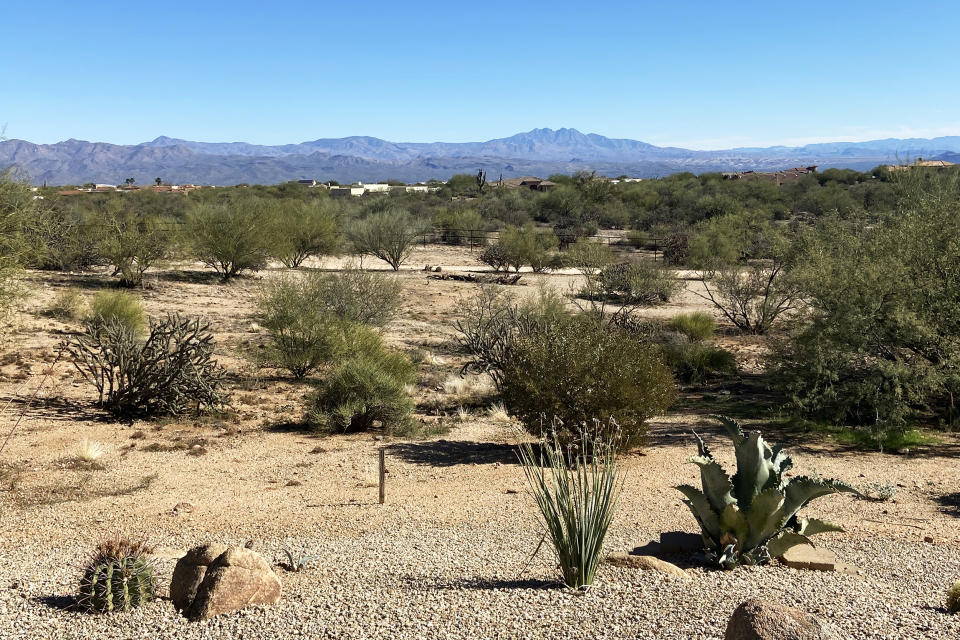 Rio Verde Foothills. (Deon J. Hampton / NBC News)