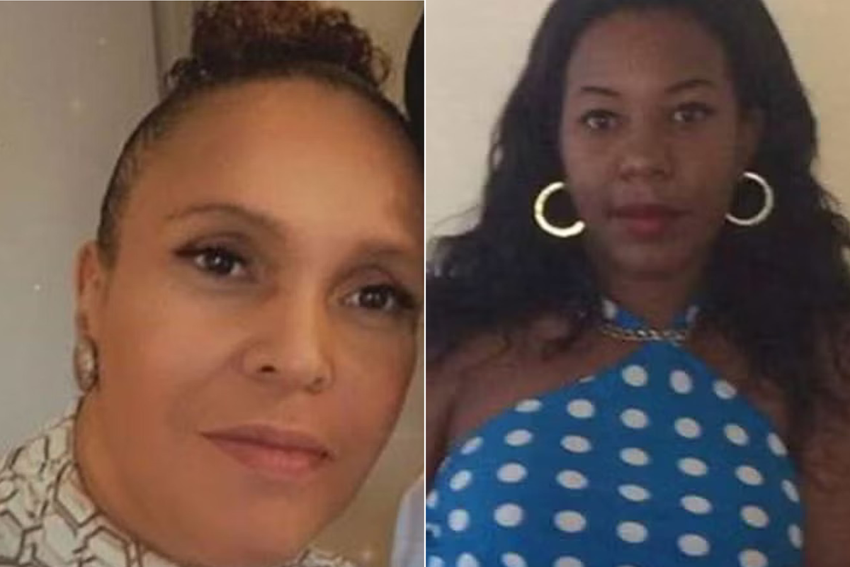 Carl Cooper is accused of killing Fiona Holm (left), 48, and  Naomi Hunte, 41 (right)  (Metropolitan Police/Facebook)