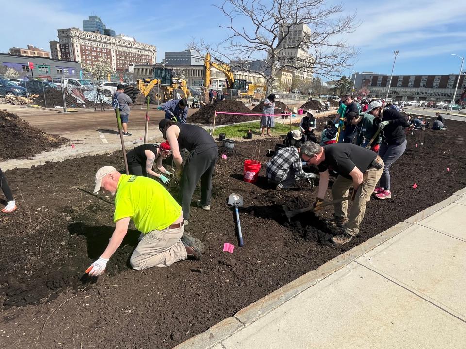 Volunteers plant trees for Worcester's first Miyawaki forest Saturday along McGrath Boulevard behind the Worcester Public Library