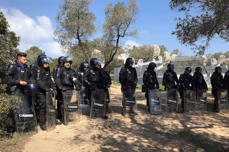 Italian Carabinieri police officers stand in front of a grove of olive trees dating back centuries in the village of Melendugno, southern Italy March 28, 2017. REUTERS/Stringer