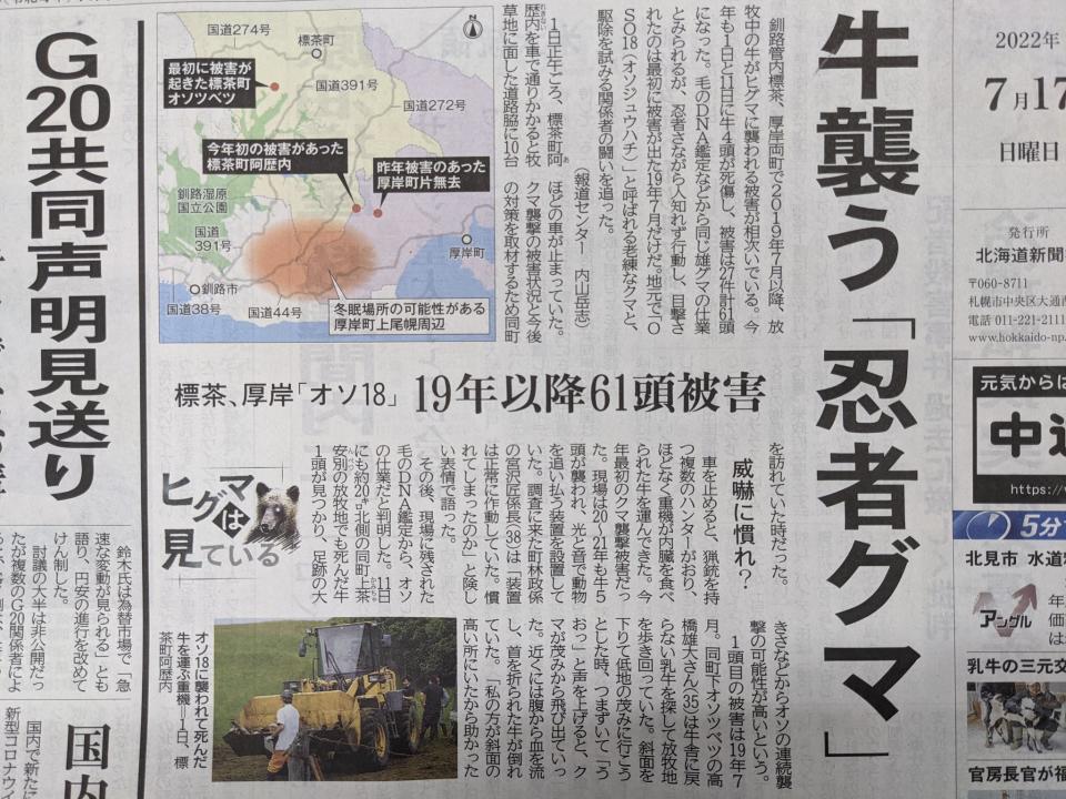 嗜血巨熊登上北海道報紙。（圖／翻攝自推特）