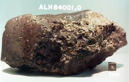 The meteorite ALH84001.