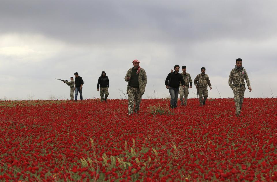 Free Army fighters walk in a field of flowers during a reconnaissance mission on the Heesh front, in Idlib