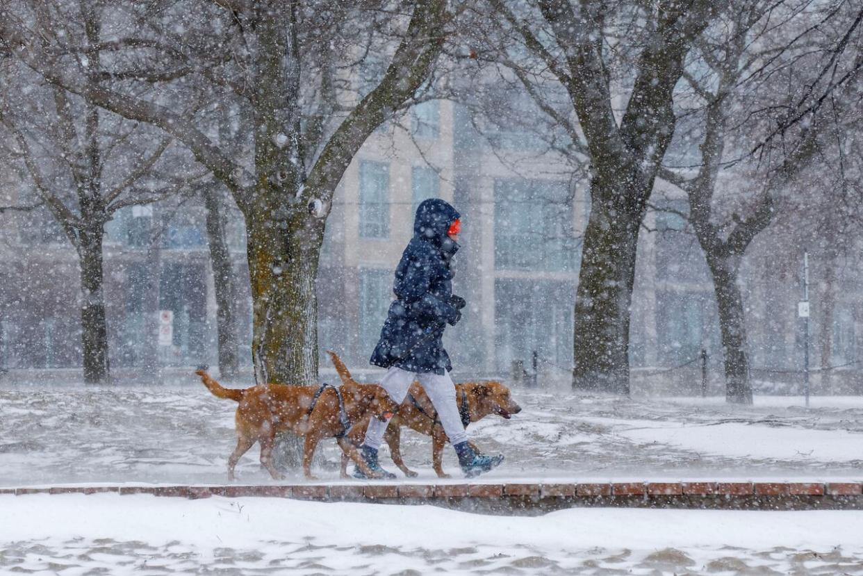 A person braves the weather to walk their dogs at Woodbine Beach in Toronto, on Mar. 22, 2024. The heavy snowfall is expected to end Friday night. (Alex Lupul/CBC - image credit)