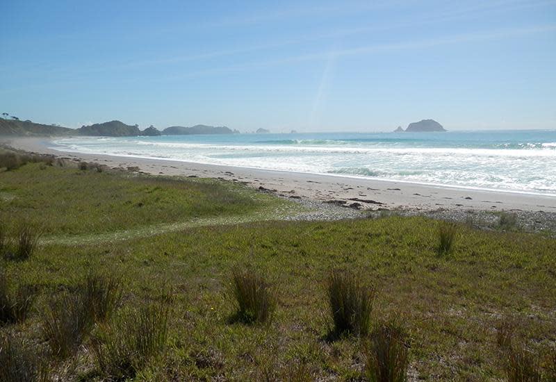 North Island - Mimiwhangata Coastal Park - Northland