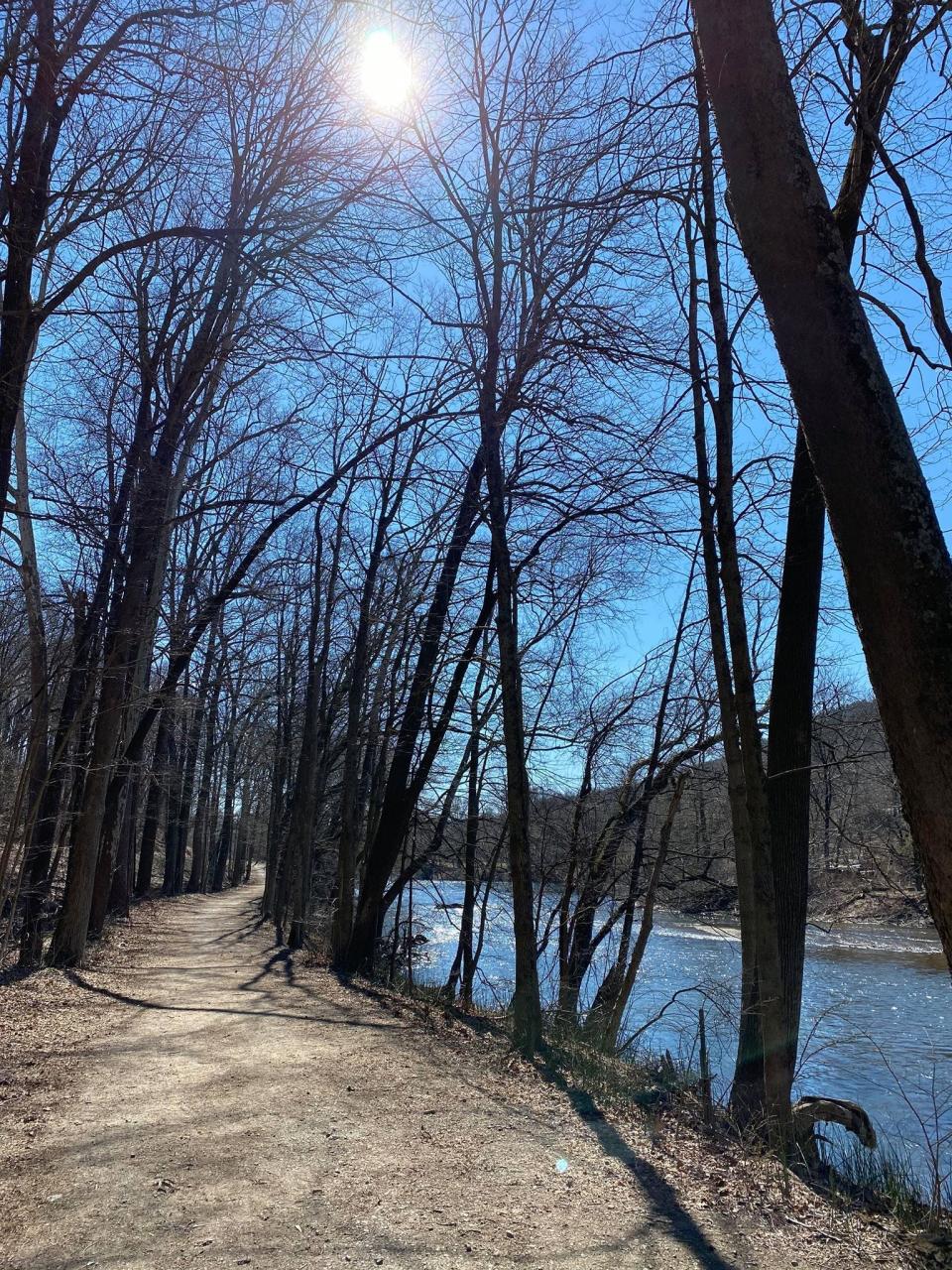 Emily Carr run