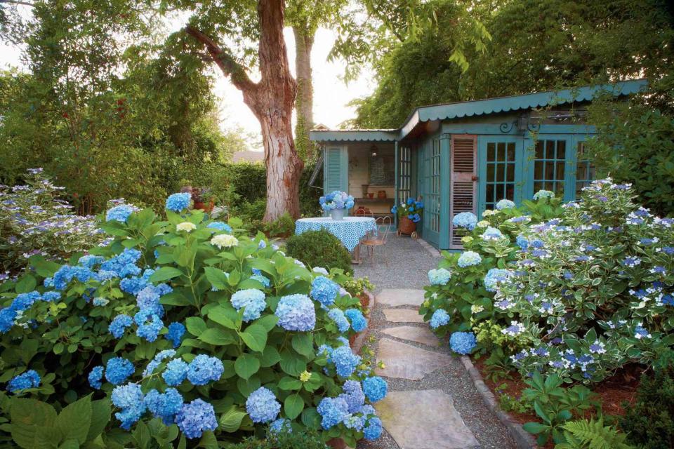 Ralph Lee Anderson In this Macon, Georgia garden, bluehydrangea macrophylla set a stunning path to a table simply set with fresh cut blooms.