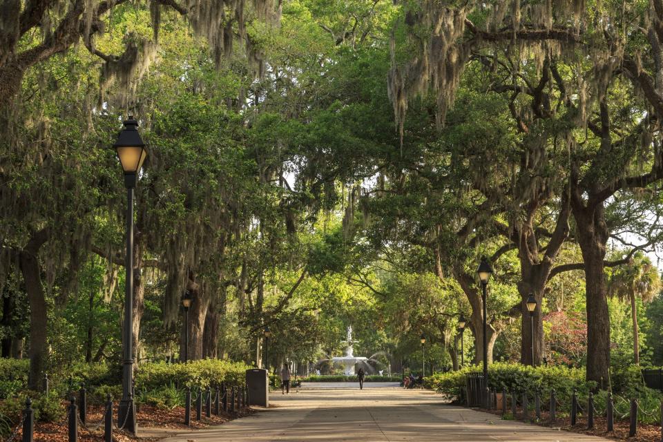 oak trees with spanish moss and large fountain in the center