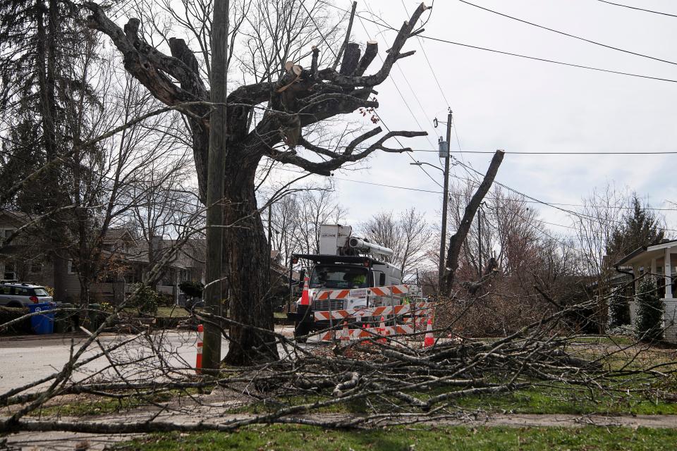 Crews worked to disassemble trees along Vemont Ave February 21, 2023.