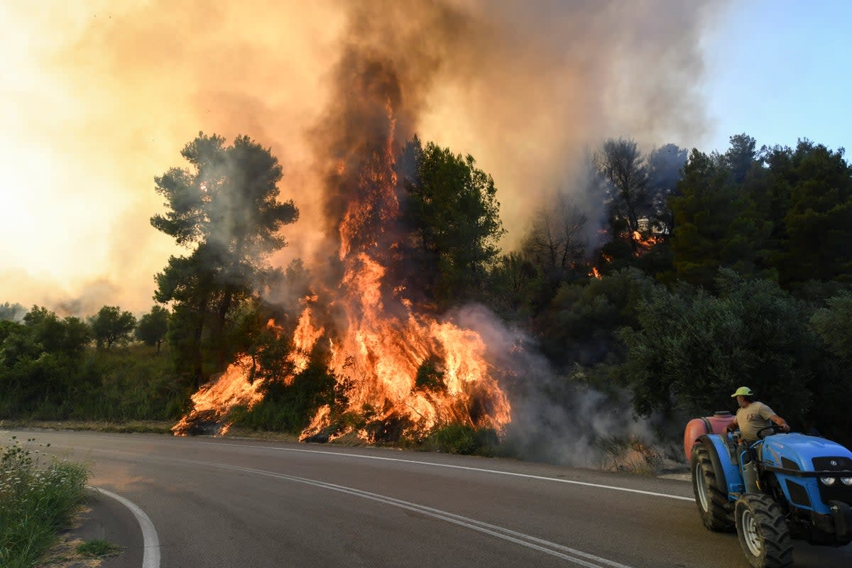 GRECIA-INCENDIOS FORESTALES (AP)