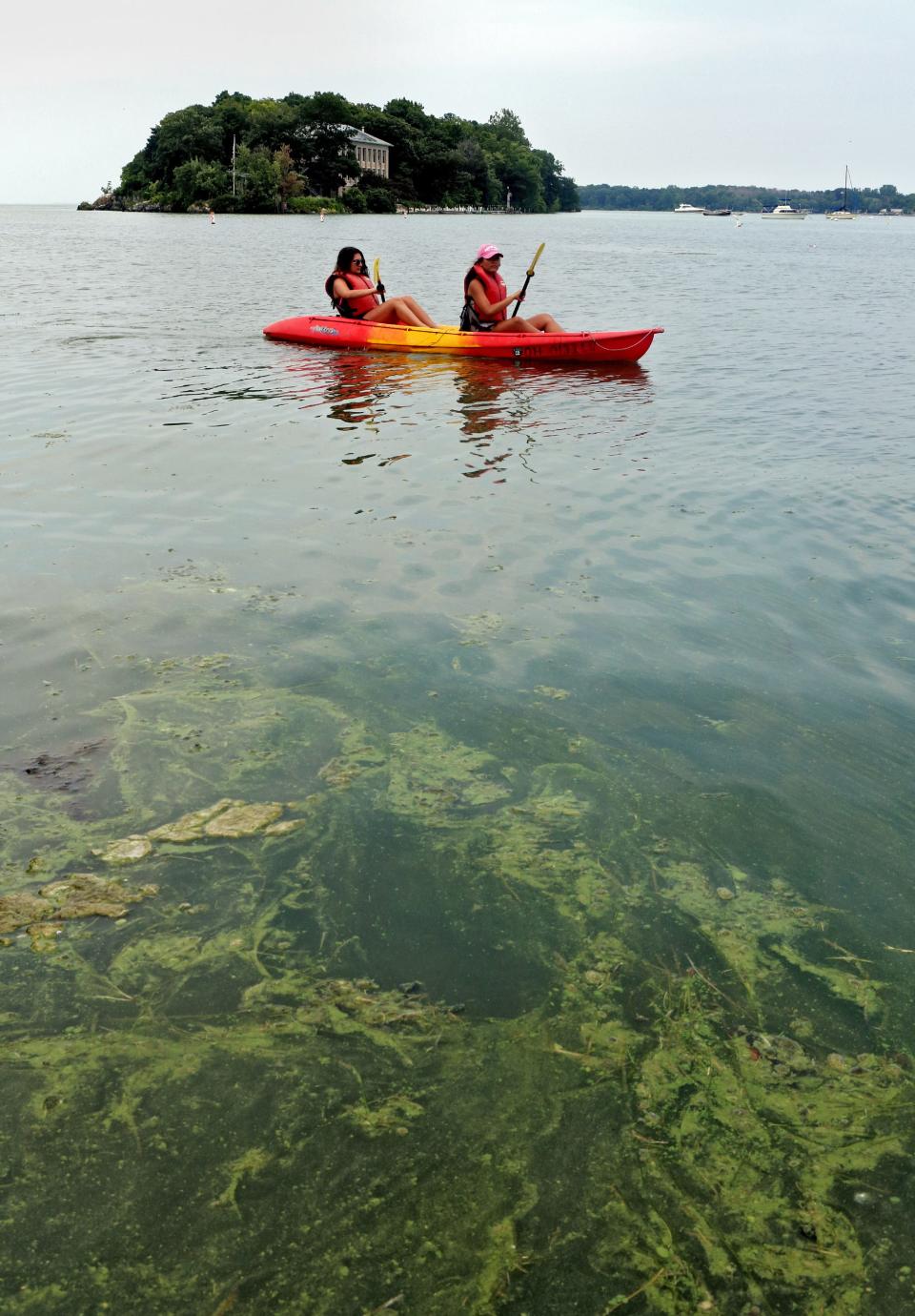 Kayakers paddle through a algae bloom next to Oak Point State Park on South Bass Island Park in Lake Erie July 29, 2015.