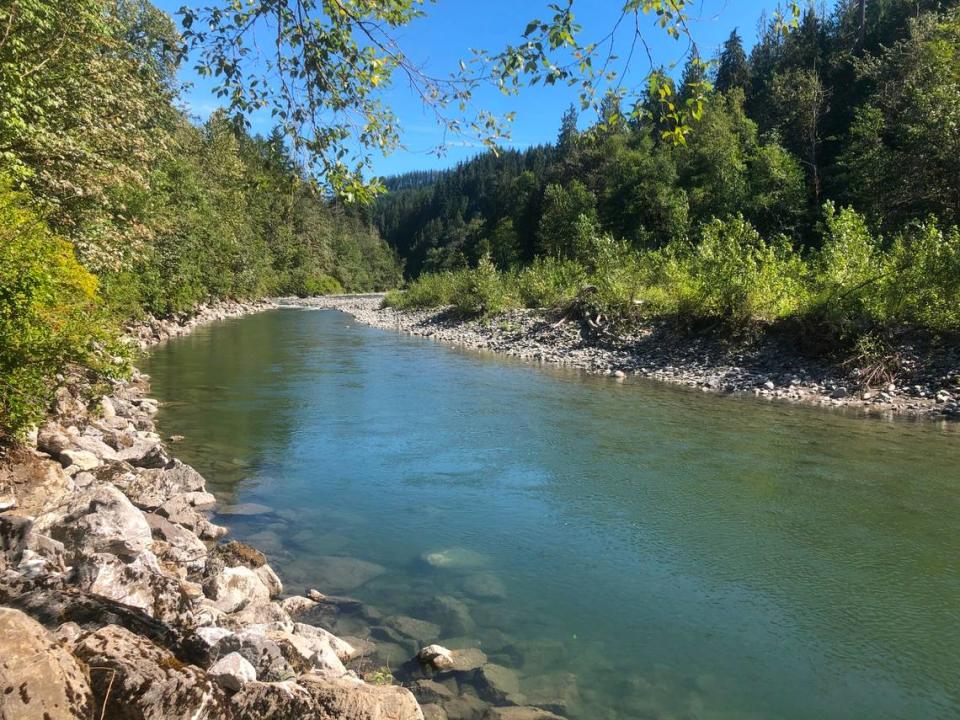 The south fork of the Nooksack River on Saturday, Aug. 6. A proposal to ban inner tubes and other recreational flotation devices on the south fork of the Nooksack River was scuttled on a 4-3 vote by the Whatcom County Council.