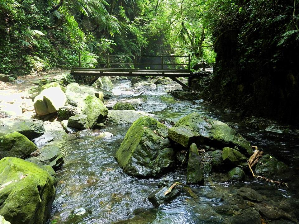 林美石磐步道 (Photo by lienyuan lee, License: CC BY 3.0, 圖片來源web.archive.org/web/20161028175314/http://www.panoramio.com/photo/108219868)