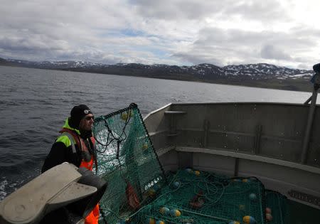 Sea Sami fisherman, Einar Juliussen, 54, fishes for king crabs in Repparfjord, Norway, June 13, 2018. REUTERS/Stoyan Nenov/Files