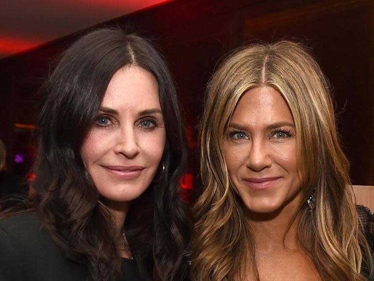 Friends stars Jennifer Aniston and Courteney Cox's private plane forced to make emergency landing after losing tyre