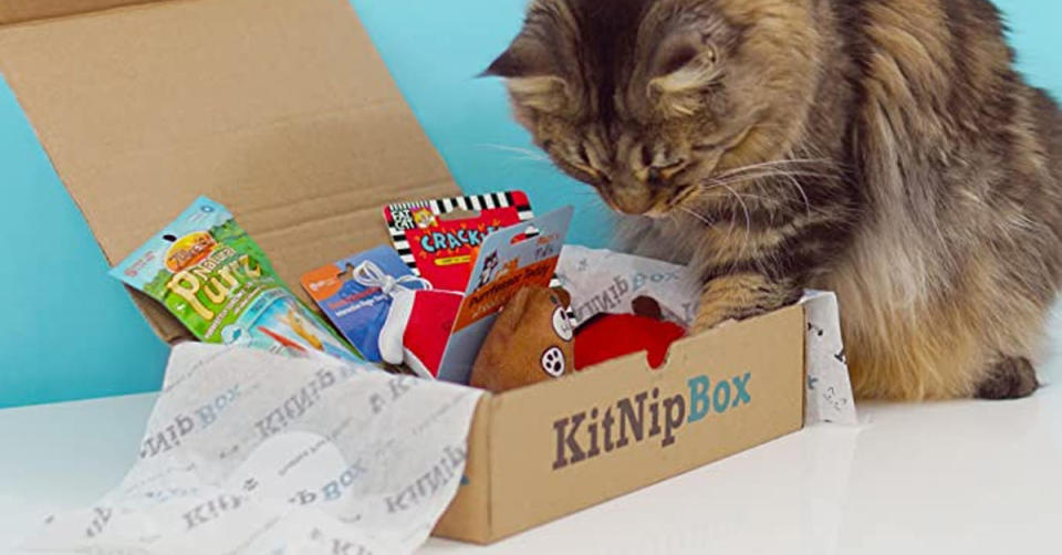 KitNipBox's Happy Cat box is $7 off today. (Photo: Amazon)