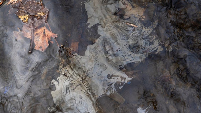 Chemicals float on the top of the water in Leslie Run creek after being agitated from the sediment on the bottom of the creek on February 20, 2023 in East Palestine, Ohio.