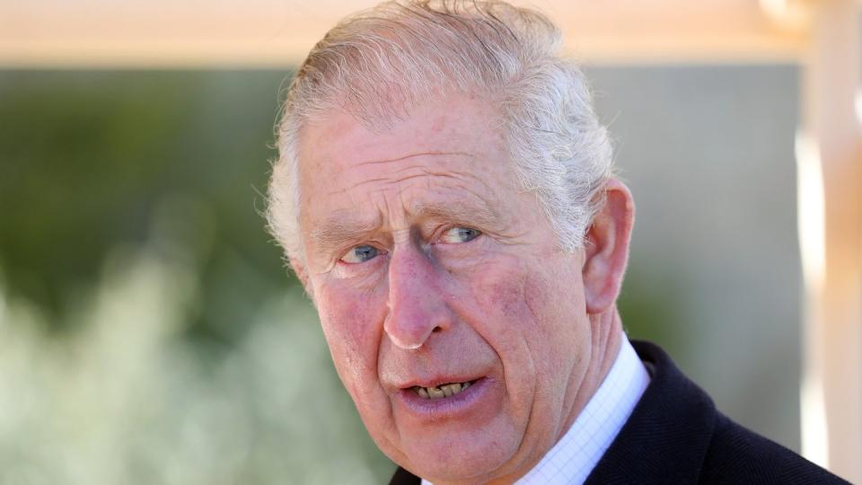 Der britische Prinz Charles ist positiv auf daas Coronavirus getestet worden.