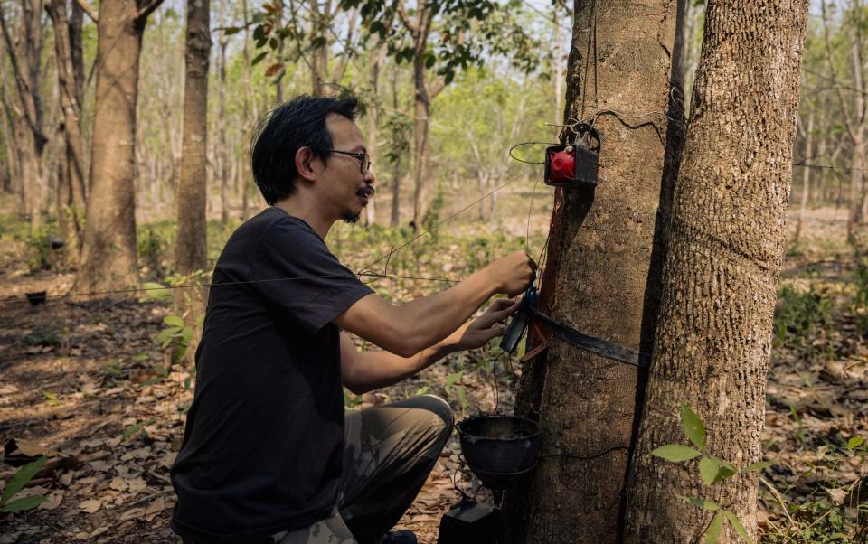 Taan Wannagul, researcher for the Eastern Elephants Education Center resets an alarm, used to notify park rangers of elephant movement in a forest