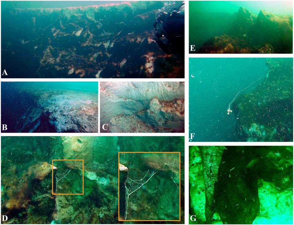 Fotografías del interior del TJBH (Taam ja’ Blue hole) | Imagen Alcérreca-Huerta, Juan C., et al. Frontiers in Marine Science (2023)