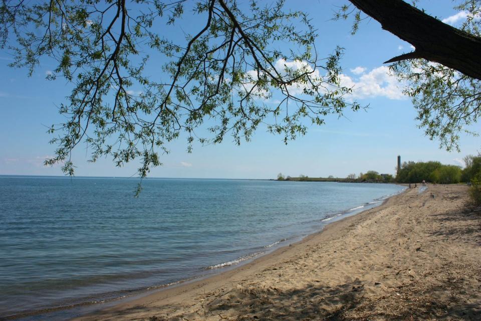 Marie Curtis Park in west-end Toronto was a frequent site of police surveillance of gay men. (Shutterstock)