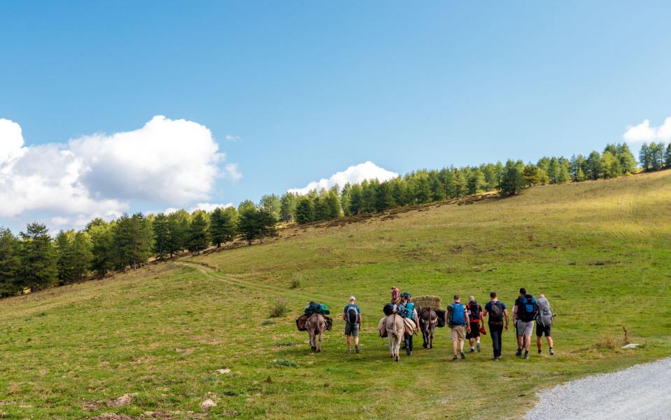 Mercantour National Park is one of the best hiking locations in France