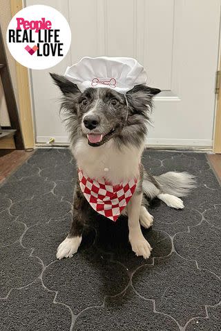 <p>The Chavez's</p> Lilo trying out her chef outfit for the wedding day.