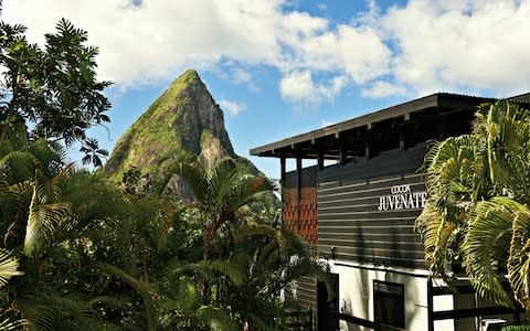 Boucan by Hotel Chocolat, St Lucia - Credit: ©2012 All Rights Reserved/Tom Mannion