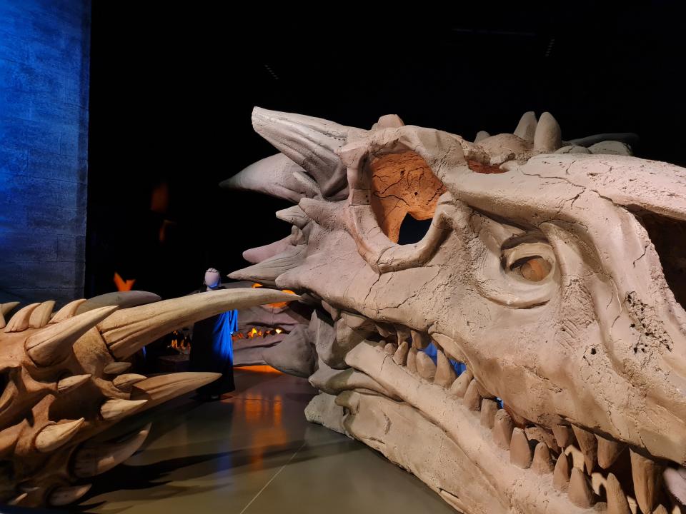 giant prop dragon skull inside the game of thrones studio tour