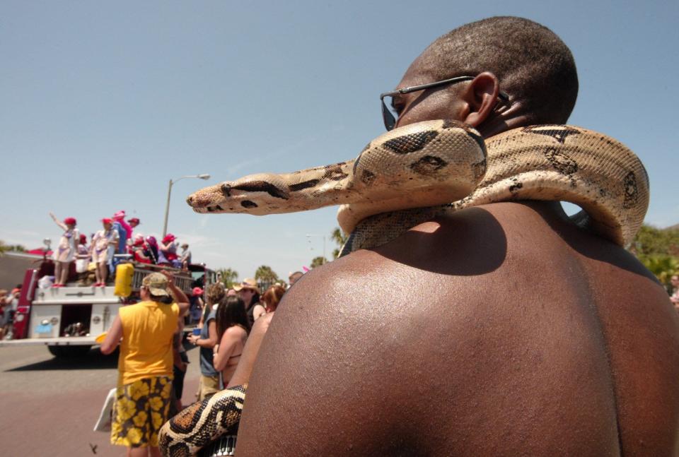 Rafeal Lanier, with his 6-year-old python around his neck, watches the opening of the Beaches parade in 2004.