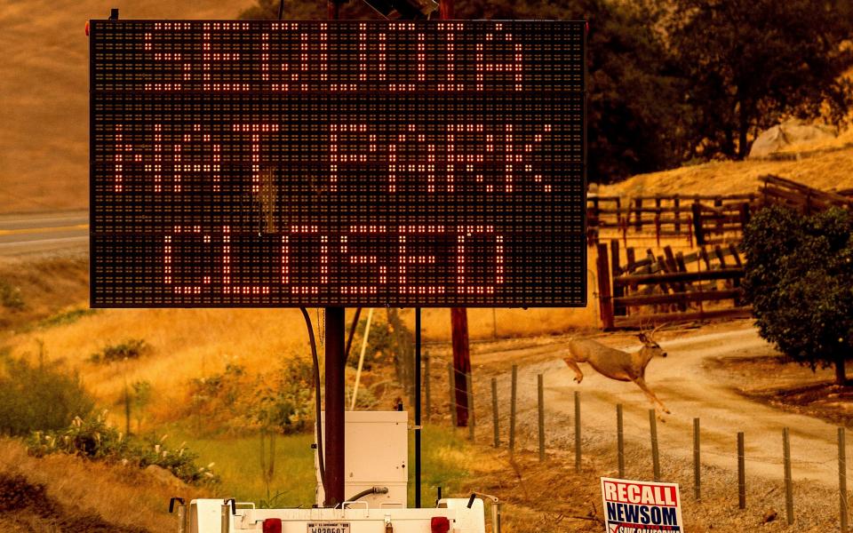 A sign announces the closure of Sequoia National Park - Noah Berger/AP