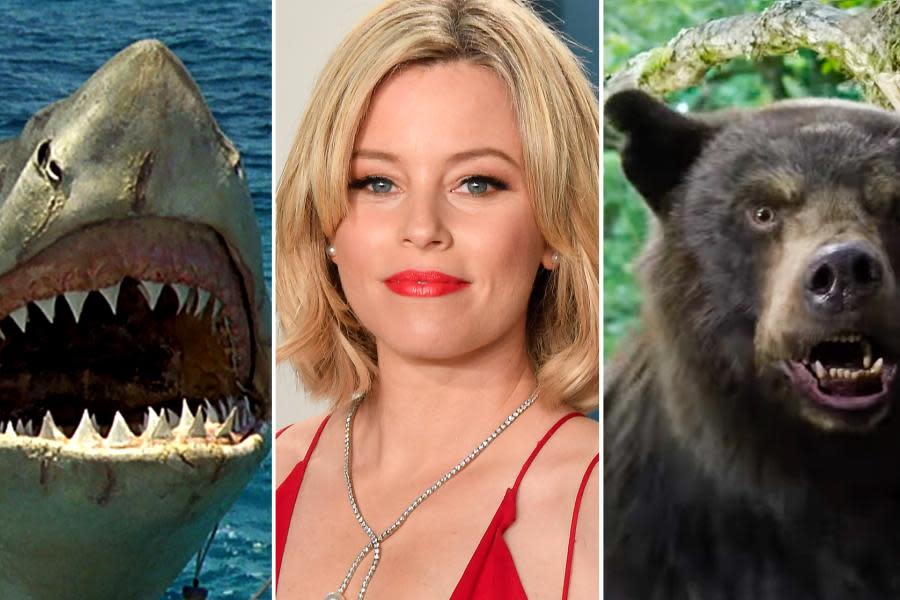 Elizabeth Banks, directora de Cocaine Bear, dice que estaría interesada en hacer Cocaine Shark, una versión de Tiburón en drogas